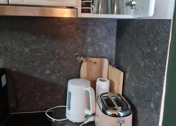 아파트 Cozy In Centrum 소피아